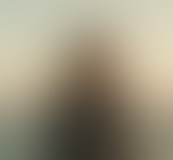 鸿蒙NEXT应用加固