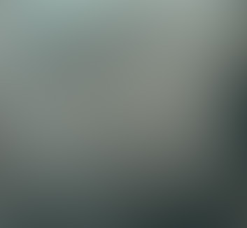 防仿冒与渠道污染