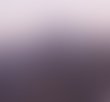 保护核心算法与协议